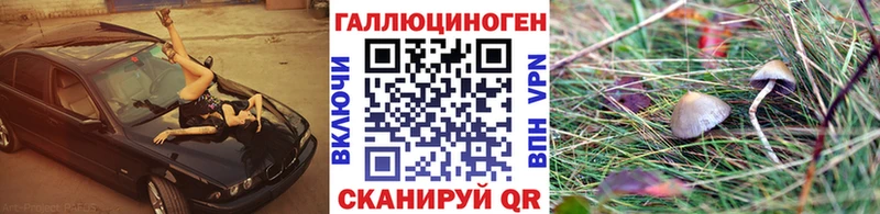 цены Новочеркасск Псилоцибиновые грибы GOLDEN TEACHER