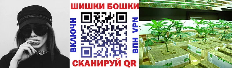 Бошки Шишки конопля Новочеркасск